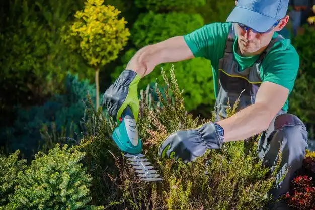 landscaping services Loup City